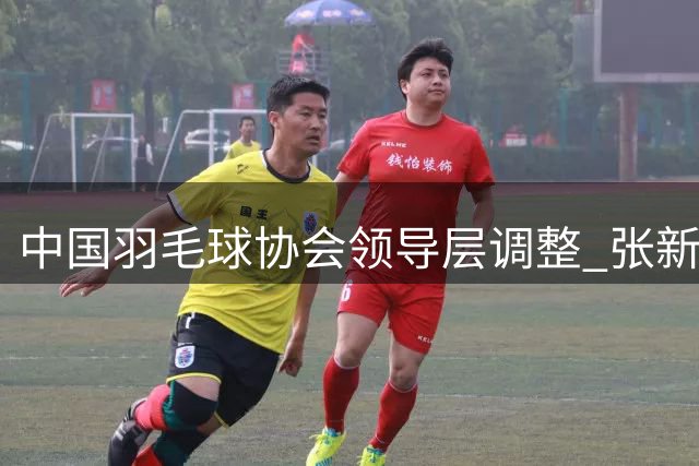 中国羽毛球协会领导层调整 张新任主席一职